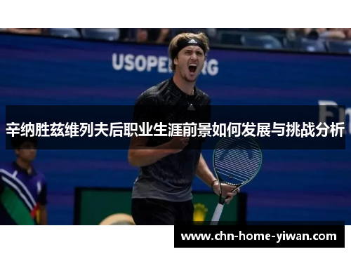 辛纳胜兹维列夫后职业生涯前景如何发展与挑战分析