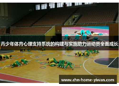 青少年体育心理支持系统的构建与实施助力运动员全面成长