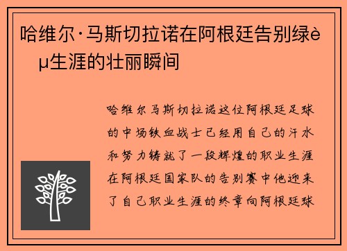 哈维尔·马斯切拉诺在阿根廷告别绿茵生涯的壮丽瞬间 哈维尔·马斯切拉诺在阿根廷告别绿茵生涯的壮丽瞬间